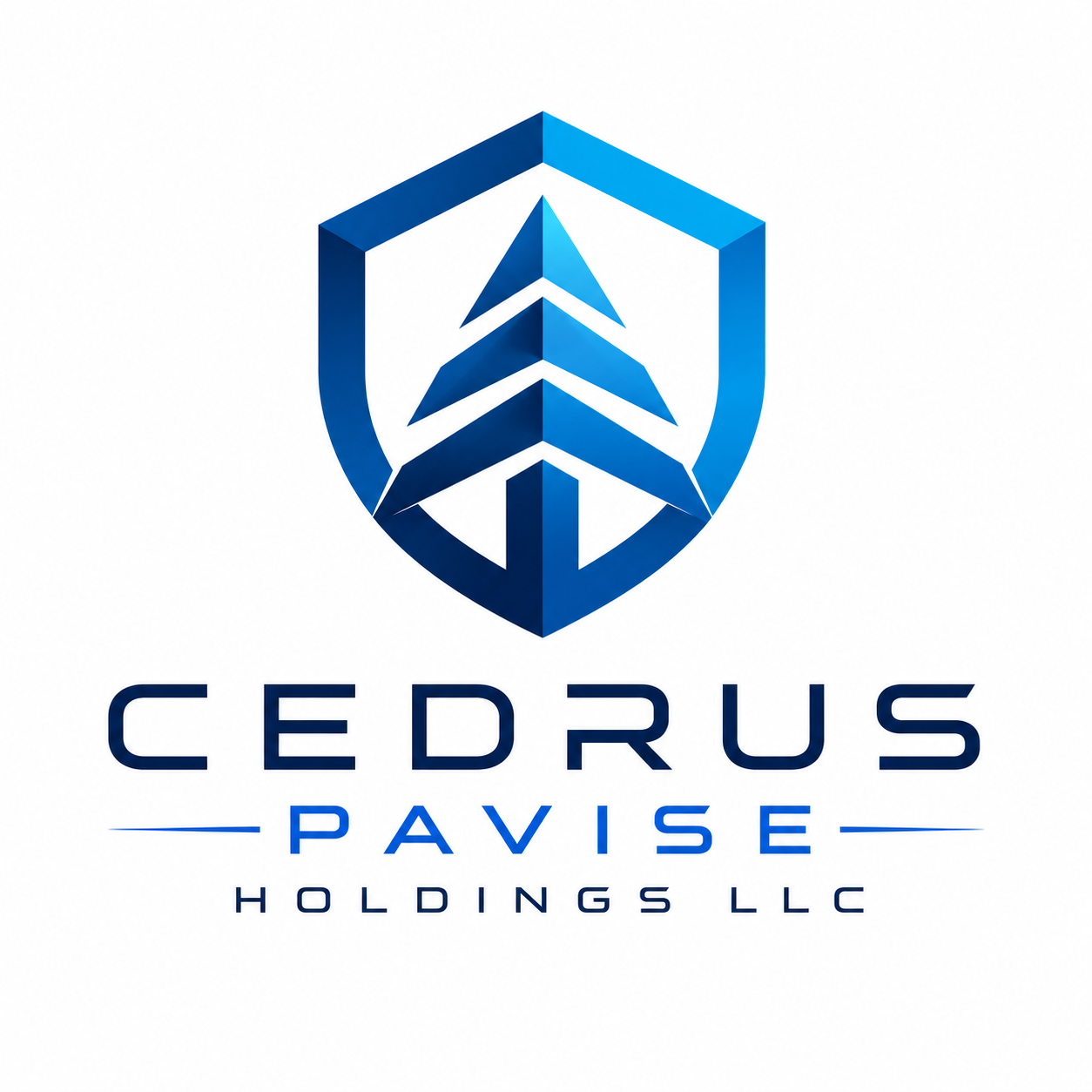 CEDRUS PAVISE HOLDINGS LLC